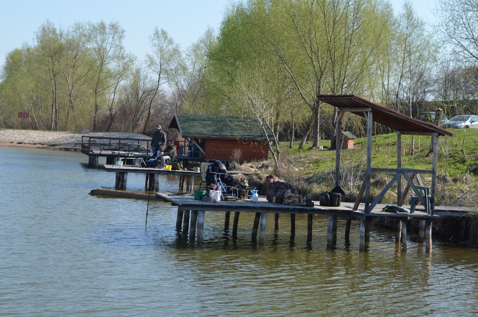 Teslui 2014 - part 2 - image11111111111111111.jpg